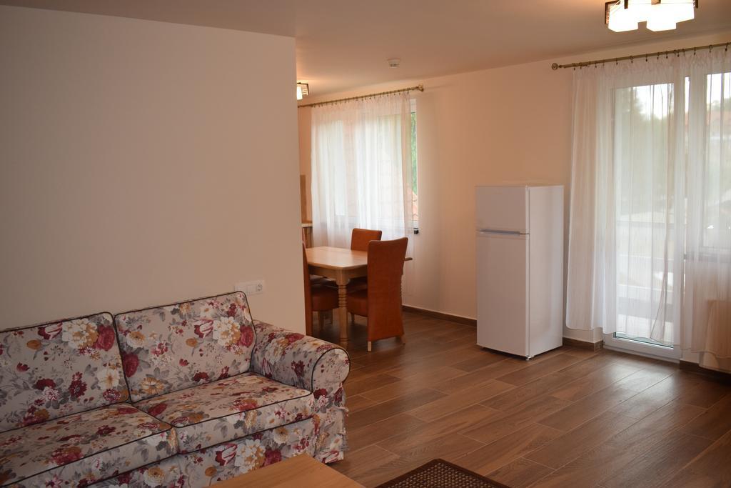 Pension Aquaris Hotel Sighişoara Buitenkant foto